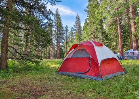 Beginner's Guide to Finding the Right Tent