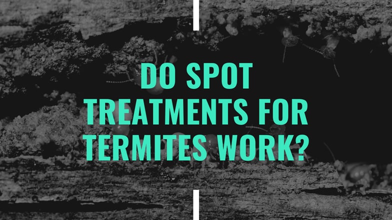 Do Spot Treatments for Termites Work