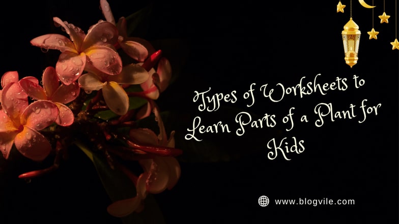 Types of Worksheets to Learn Parts of a Plant for Kids