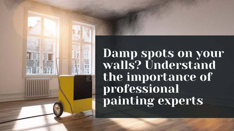Damp spots on your walls Understand the importance of professional painting experts